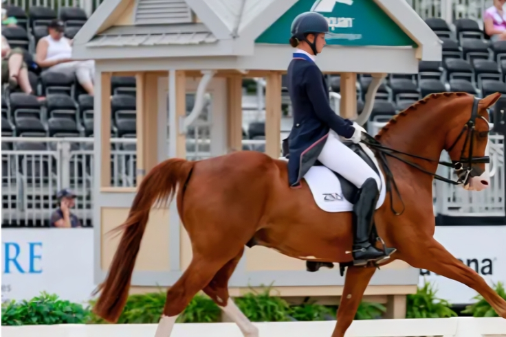 How riders in equestrian sports “read” a horse's mood at the start
