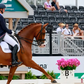 How riders in equestrian sports “read” a horse's mood at the start