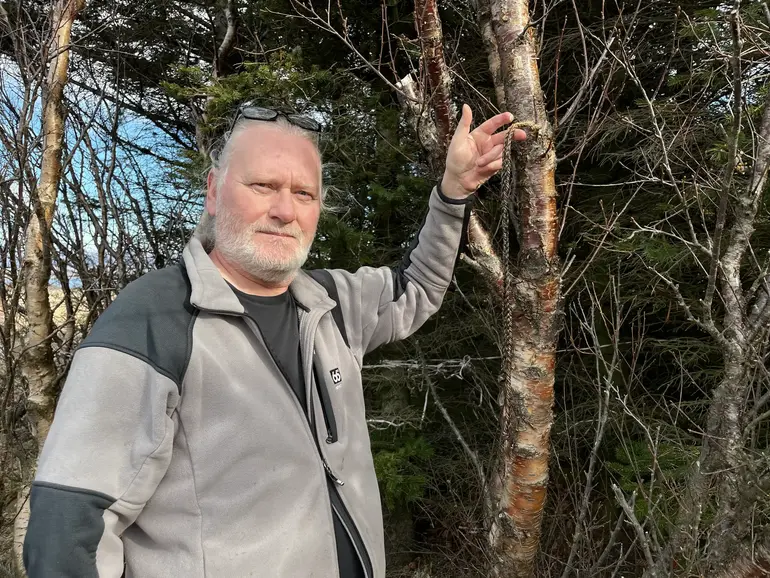 Insect enthusiast Björn Hjaltason discovered Iceland's first recorded mosquitoes on red-wine-soaked ropes used to attract insects.