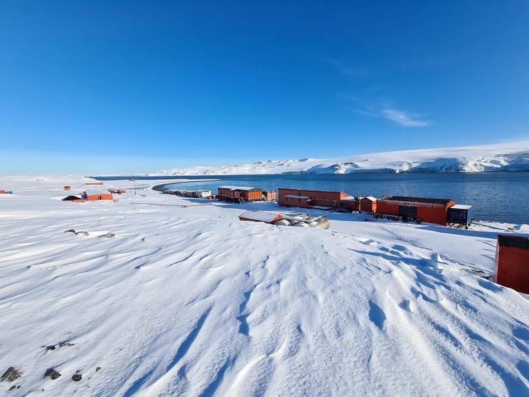 Antarctica is the only continent without mosquitoes