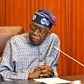 FG considers law to lock Tinubu's reforms in place so the next government can't reverse them