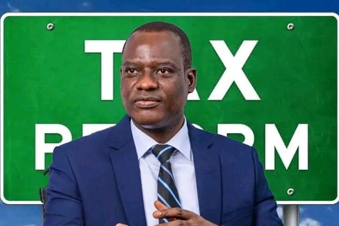 Taiwo Oyedele, Chairman of the Presidential Committee on Fiscal Policy and Tax Reforms