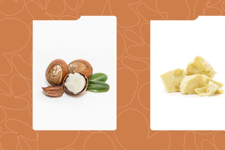 Shea Butter vs Cocoa Butter: Which Natural Moisturizer Performs Better?  