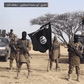 ISIS claims responsibility for deadly attack in Adamawa that killed at least 29