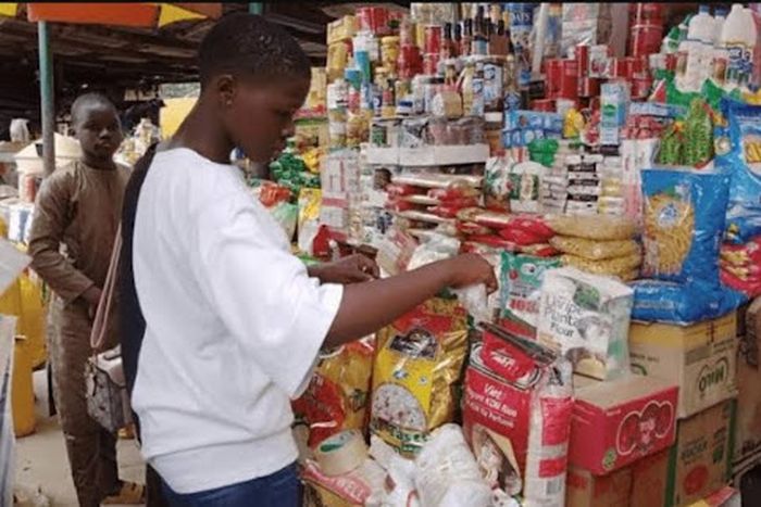 5 businesses you can start anywhere in Nigeria with little to no capital