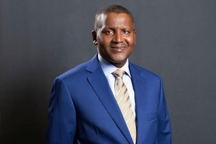 Aliko Dangote's daughter opens up on Fathers plan to donate 33% of his wealth to charity