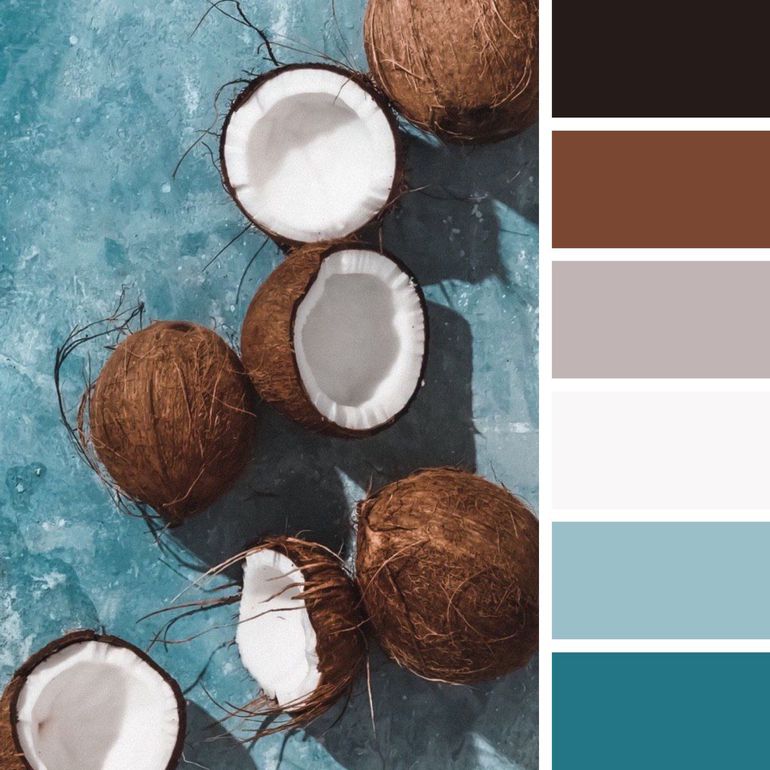 chocolate-brown-off-white-teal-colour-palette