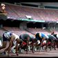 Race to Glory: Athletics Stars Shine as Africa Military Games Near Grand Finale