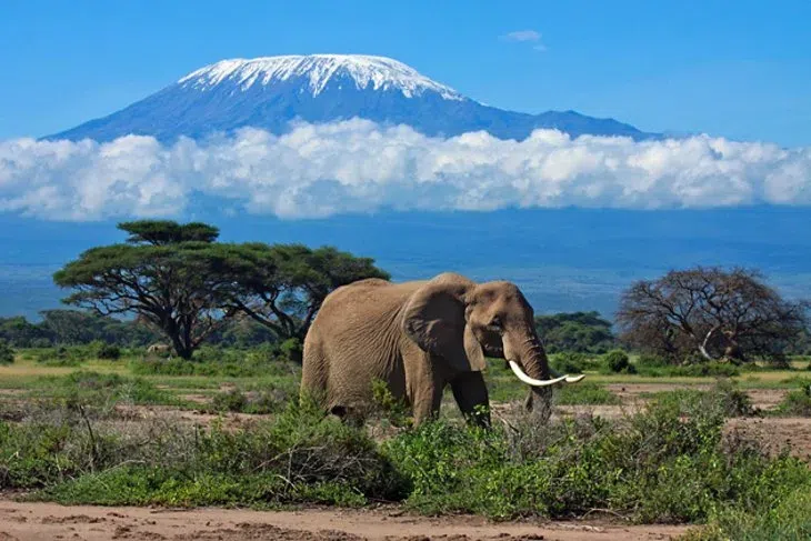 Tanzania is a unique combination of Tanganyika and Zanzibar.