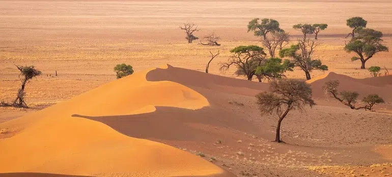 Namibia was named after Namib Desert.