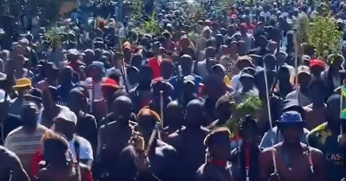 Shocking sight in South Africa as thousands march to demand that foreigners leave the country