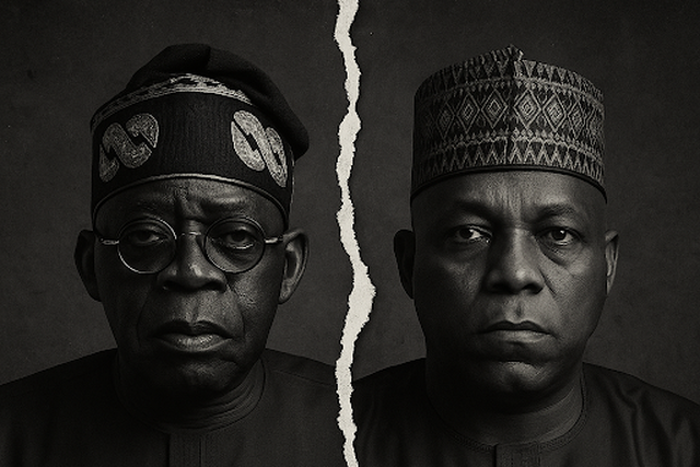 Quiet Cracks: Inside the rumoured Tinubu–Shettima rift