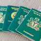 Passport wahala: From ₦15k in 2010 to ₦100k in 2025 – How cost of Nigerian passport keeps doubling