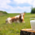 Everything you thought you knew about milk