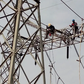 Vigilant community thwarts vandalism of TCN transmission tower in Benue