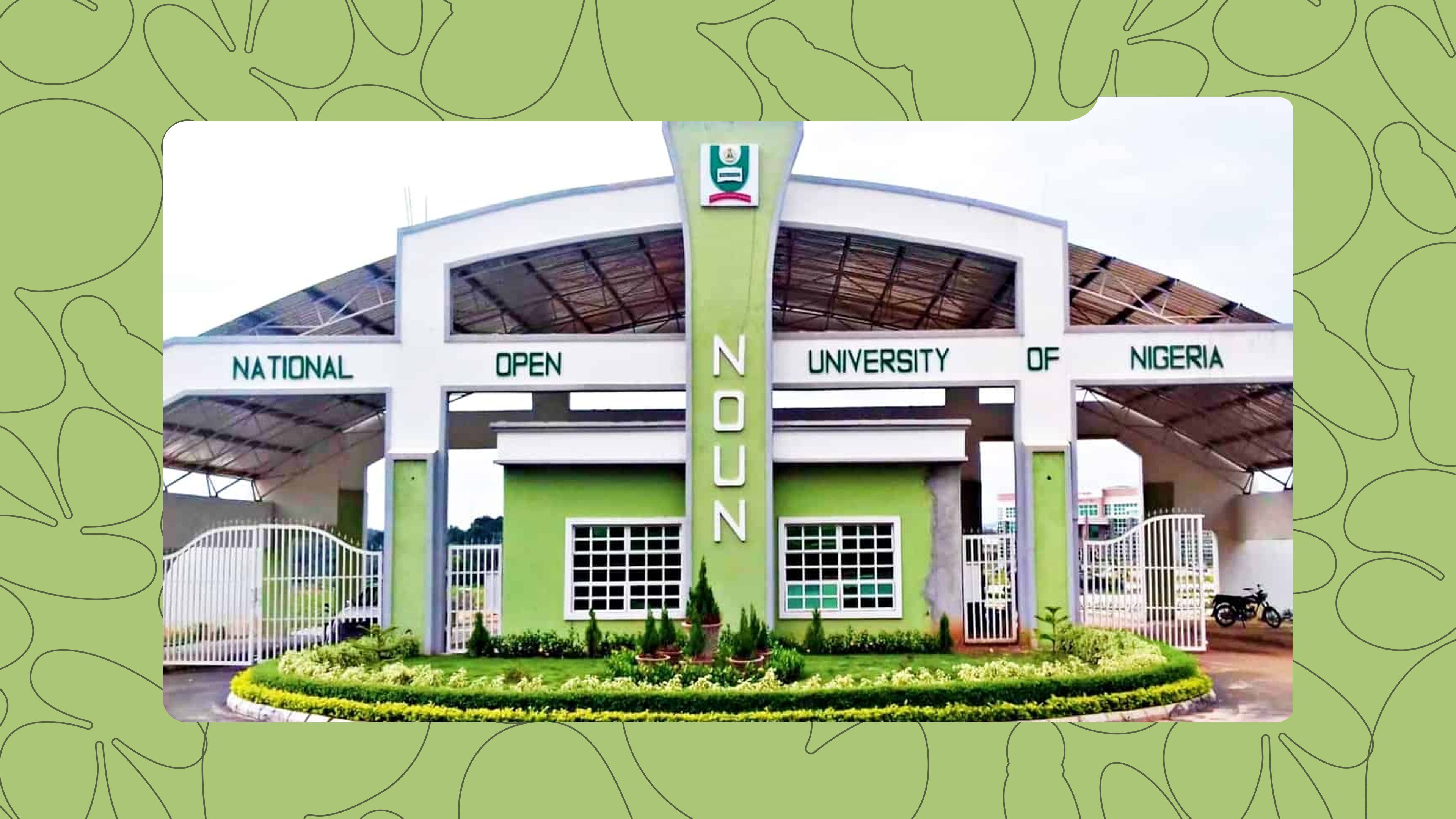 The 7 Best Online Universities in Nigeria for Busy People Who Still Want That Degree