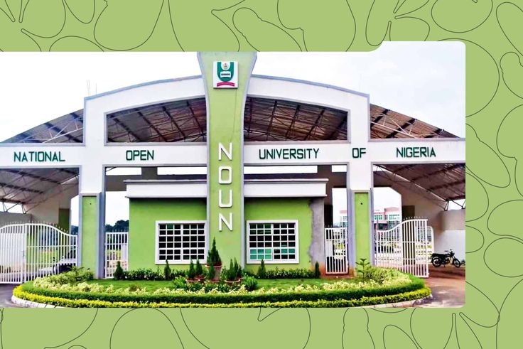 The 7 Best Online Universities in Nigeria for Busy People Who Still Want That Degree