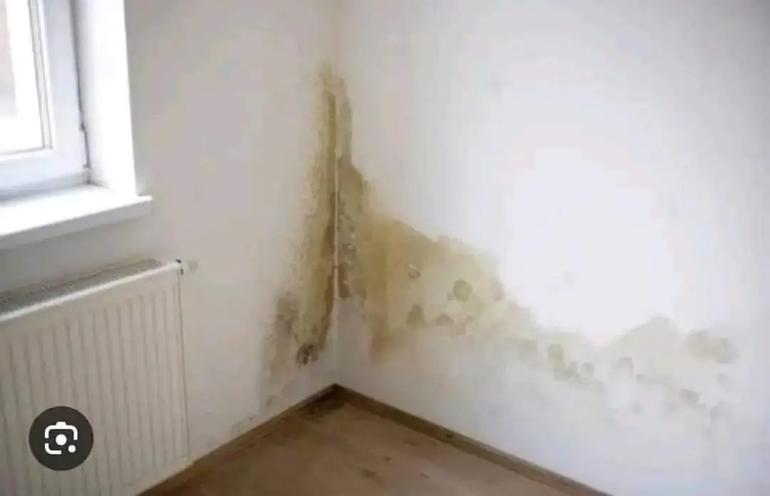 Water stains along compound walls, fences, or the lower sections of a building are signs that floodwater has reached that height before
