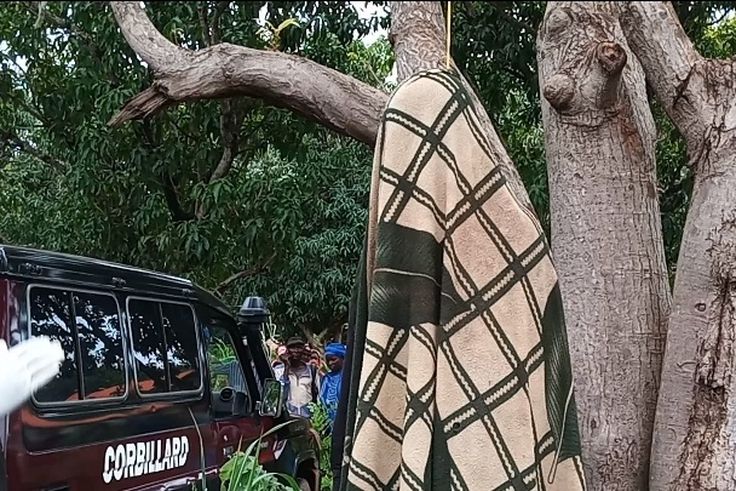 Le berger perché sur un baobab pour prendre sa pause meurt lors d’une chute