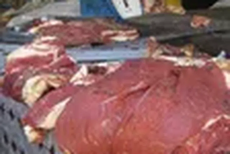 Liberté 6 : un charretier arrêté pour commercialisation de viande impropre à la consommation