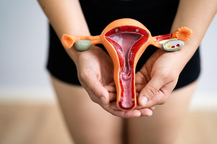 Atrophie vaginale : un mal silencieux qui touche de nombreuses femmes