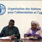 La CJRS et la FAO nouent un partenariat pour renforcer les compétences des journalistes