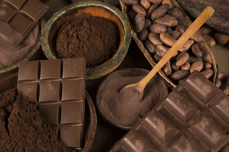 Mémoire : le chocolat noir, un allié insoupçonné pour booster les capacités cognitives