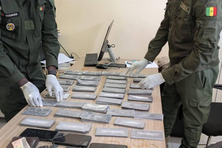 20 millions en faux billets saisis : un artiste et un marabout arrêtés à Kolda