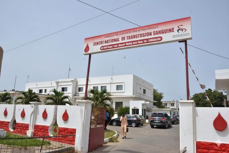 Le médecin du CNTS est un hématologue clinicien, spécialiste de la transfusion sanguine