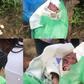Koungheul : un bébé jeté dans une poubelle , retrouvé vivant
