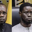 « Xoulo ñaar ñoo koy def » : la pique de Diomaye Faye à Ousmane Sonko