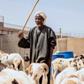 Faux-monnayage : les révélations d’une opération d’infiltration à Guédiawaye