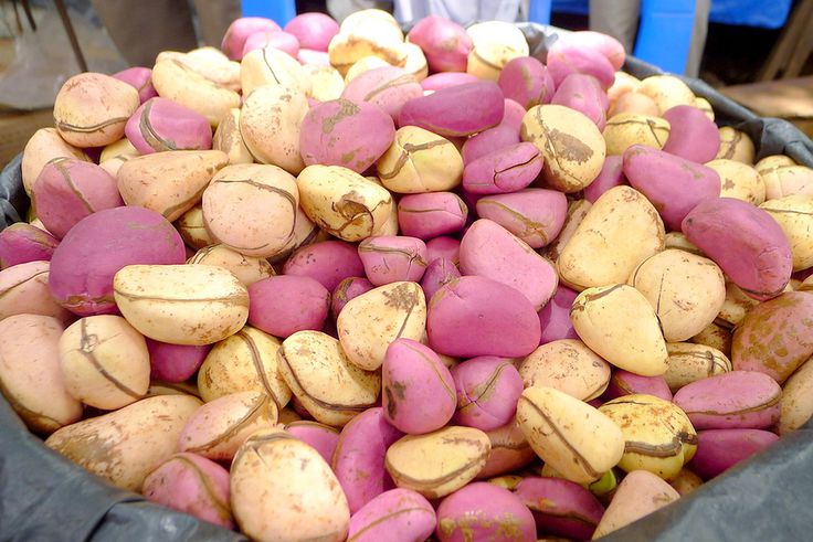 Ourossogui : Les guides religieux bannissent les réjouissances post-mariage