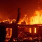 Incendies à Los Angeles : 16 morts, 12000 bâtiments détruits, 15 000 ha en fumée