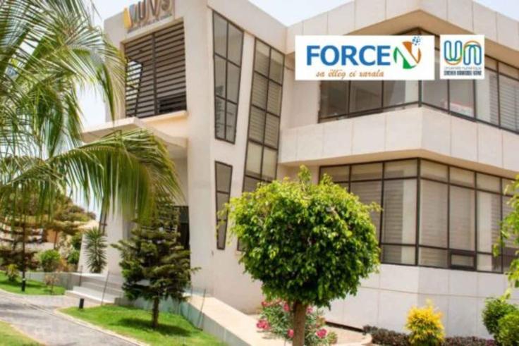 Insertion professionnelle : FORCE-N en chiffres