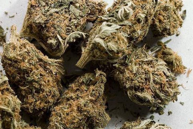 Kaolack : Quatre trafiquants arrêtés, 545 grammes de drogue saisis