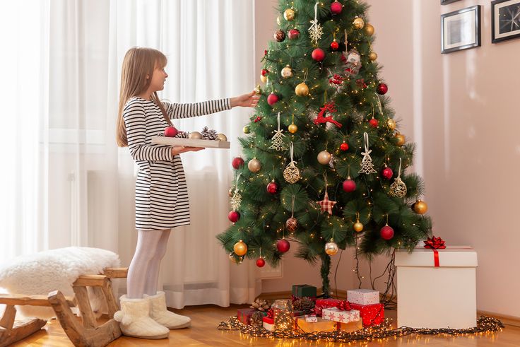 Vrai ou faux sapin de Noël : quel est le moins risqué pour la santé ?