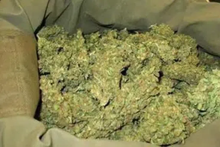 Lac Rose : La gendarmerie met la main sur 10 kg de chanvre indien