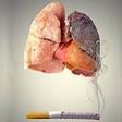 Cancer du poumon : au-delà du tabac, des risques souvent méconnus