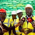 Soutien à l’agriculture sénégalaise : les ICS prévoient des investissements avec une production de 700 000 tonnes d’engrais