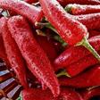 Piment et longévité : faut-il manger épicé plus souvent ?