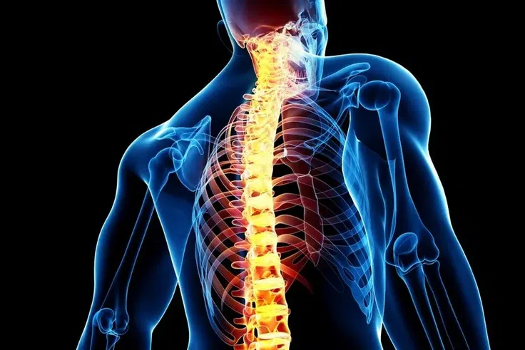 Le cerveau n'est pas l'organe déclencheur de l'éjaculation, mais la moelle épinière (Etude)