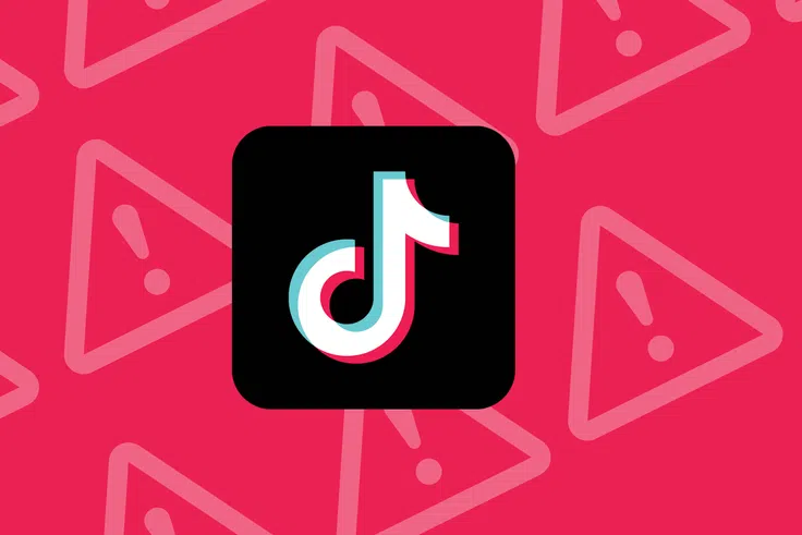 Banissement de Tik-Tok au USA : Donald Trump et Musk derniers espoirs