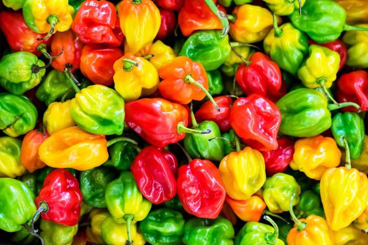 Piment : allié santé ou ennemi discret ?