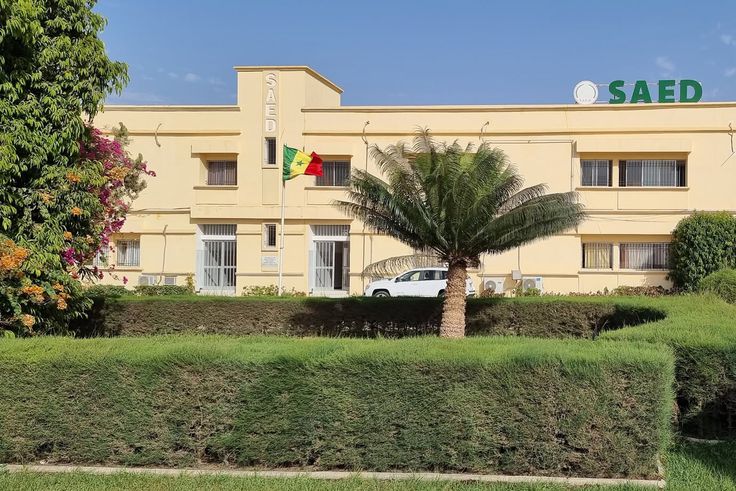 Campagne rizicole au Sénégal : des récoltes record renforcent la souveraineté alimentaire par Amadou Sabar BA