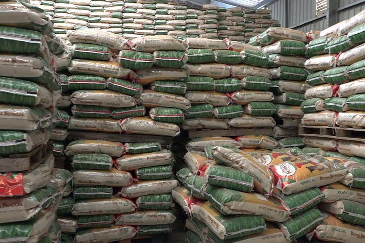 Riz brisé : une baisse de 50 FCFA par kilo annoncée