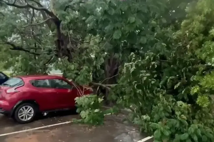 Toits arrachés, arbres déracinés : gros dégâts après la pluie de ce jeudi