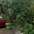 Toits arrachés, arbres déracinés : gros dégâts après la pluie de ce jeudi