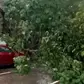 Toits arrachés, arbres déracinés : gros dégâts après la pluie de ce jeudi