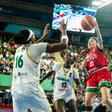 Basket : battues 79-65 par le Mexique, les Lionnes quittent la compétition